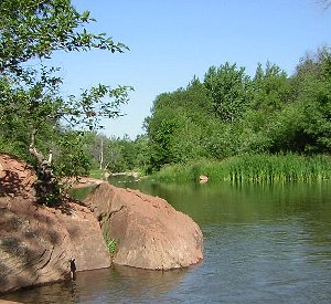 bank of oak creek along the templeton trail
